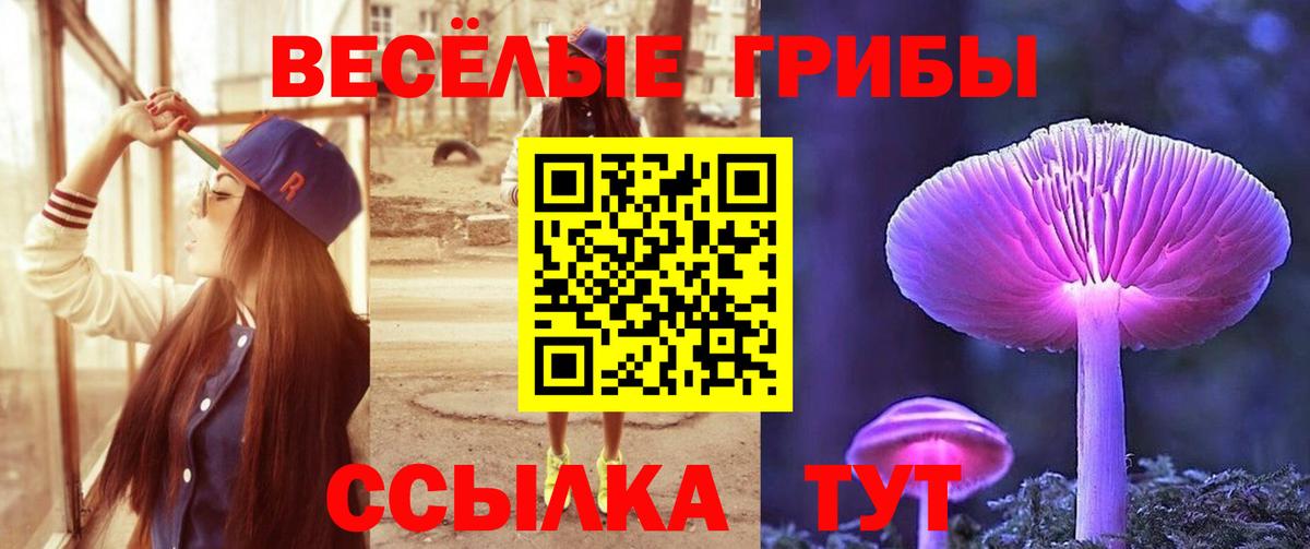Краснознаменск  Галлюциногенные грибы Psilocybe  Вход с VPN  Псилоцибиновые грибы GOLDEN TEACHER 